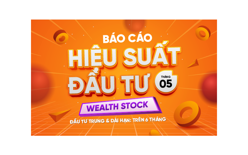Wealth Stock | Báo cáo hiệu suất đầu tư Tháng 5.2025