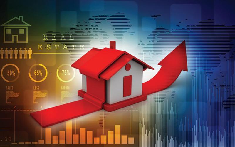 Dự thảo sửa đổi Nghị định 20: “Lưới” bắt nhầm cá!