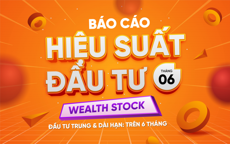 Wealth Stock | Báo cáo hiệu suất đầu tư Tháng 6.2025