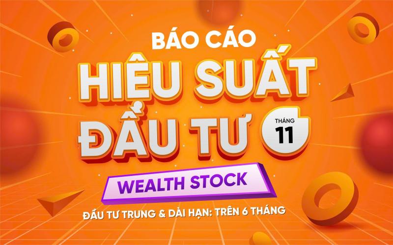 Wealth Stock | Báo cáo hiệu suất đầu tư Tháng 11.2025